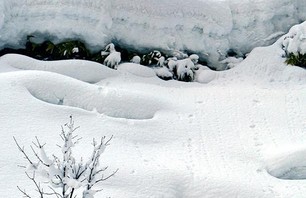 Japan: Many Many Yukis! Photo 0010