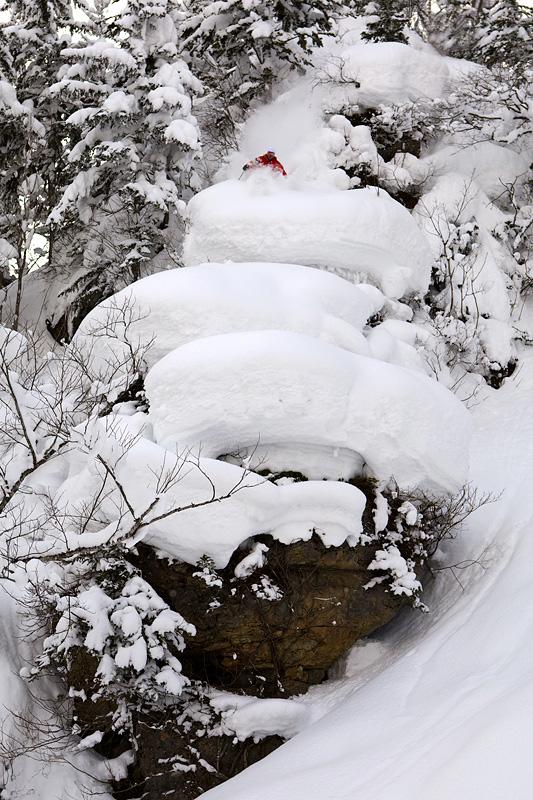 Japan: Many Many Yukis!