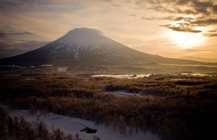 Japan: Many Many Yukis!