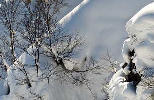 Japan: Many Many Yukis! Photo 0023