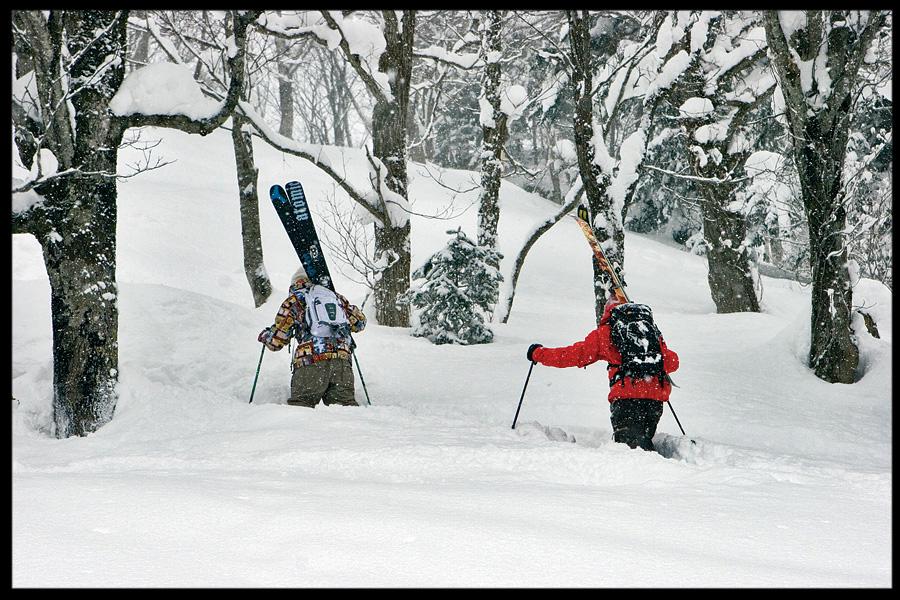 Schralping Niseko