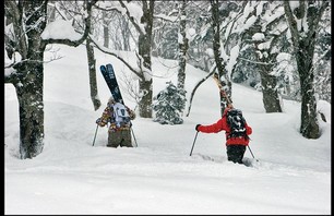 Schralping Niseko Photo 0001