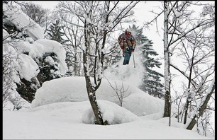 Schralping Niseko Photo 0003