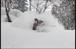 Schralping Niseko Photo 0004