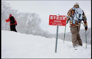 Schralping Niseko Photo 0009