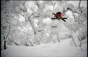 Schralping Niseko Photo 0011