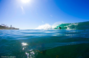 Wardo Joins The Locals In La Jolla