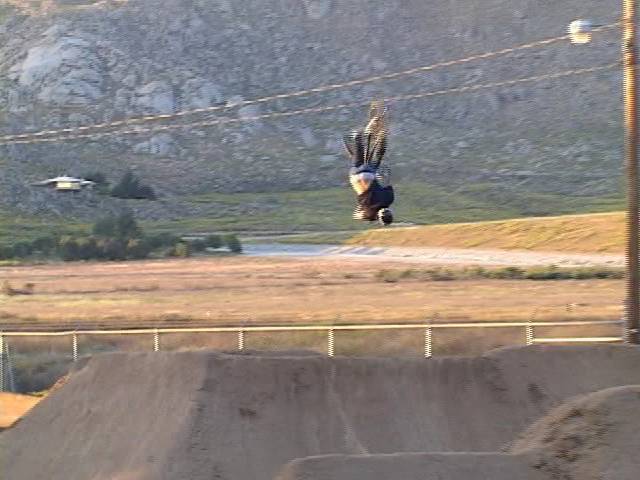 Luke Parslow (43 Hardware)