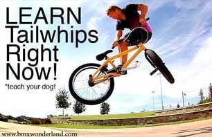 Learn Tailwhips Now Before Your Mom Gets Home