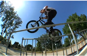Rob Wise 