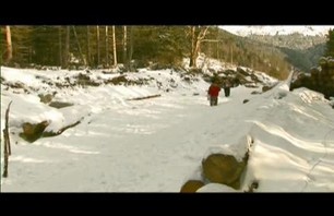 Fiasco - Boyz In The Wood, Bjorn Mortensen & Tonton Holland