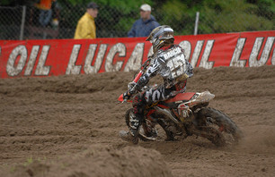 Barcia