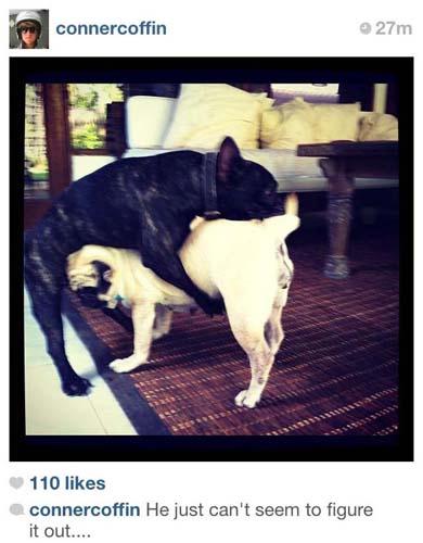 Monday RandaGram 6.11.12