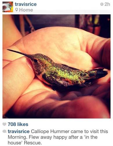 Friday RandaGram 8.17.2012