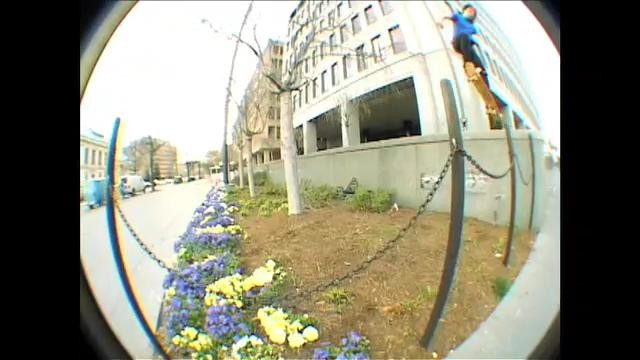 Danzed In DC - Birdhouse in DC