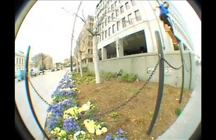 Danzed In DC - Birdhouse in DC