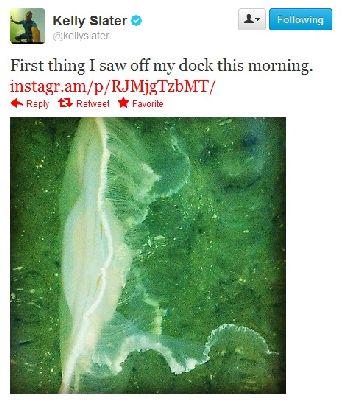 The Twitter Snap: The Latest and Most Interesting Tweets from Pro Surfers