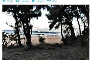 The Twitter Snap: The Latest and Most Interesting Tweets from Pro Surfers Photo 0005