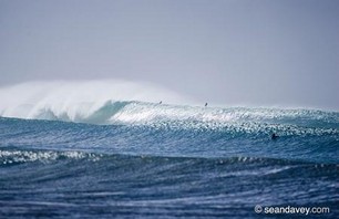 Non-Stop Surf