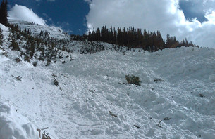 Avalanche Kills Aspen Local