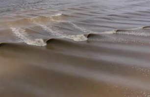 World\'s Longest Barrel Discovered?