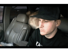 Fantasy Gifs for You