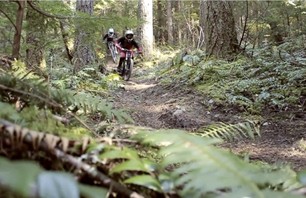 Spring Shredding Lowdown