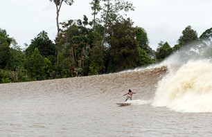 BNQT Daily 5 - Five Action sports Videos of the Day