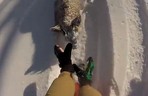 Olympic Snowboarder Wrestles Goat and Loses