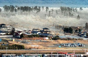 Tsunami Gallery by Surfline Photo 0009