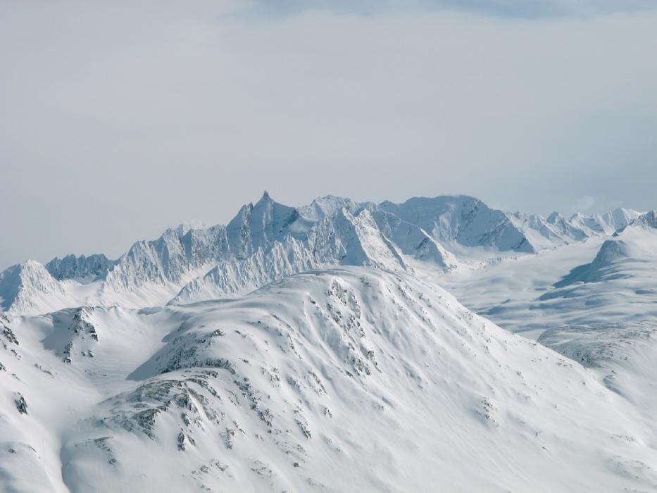 Tailgate Alaska 2011