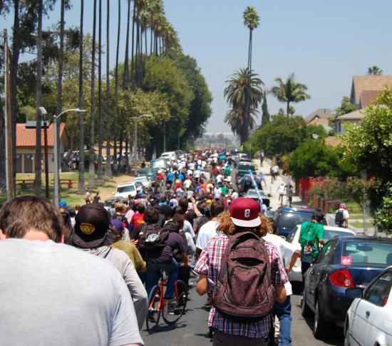 Emerica Wild in the Streets Gallery