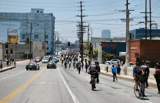 Emerica Wild in the Streets Gallery
