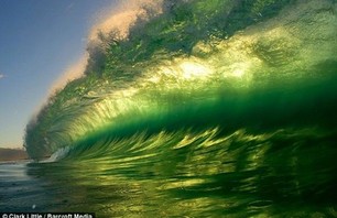 Double Dozen - Shorebreak Bliss Photo 0003