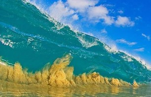 Double Dozen - Shorebreak Bliss Photo 0004