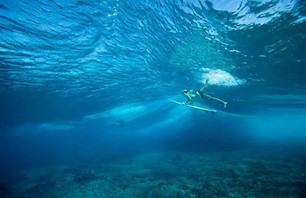 Delectable Duck Diving Divas Gallery