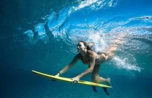 Delectable Duck Diving Divas Gallery