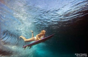 Delectable Duck Diving Divas Gallery