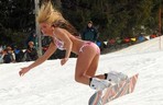 Bikini Boarders Gallery