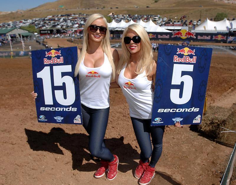 The Luscious Ladies of Red Bull