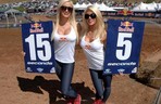 The Lucisous Ladies of Red Bull