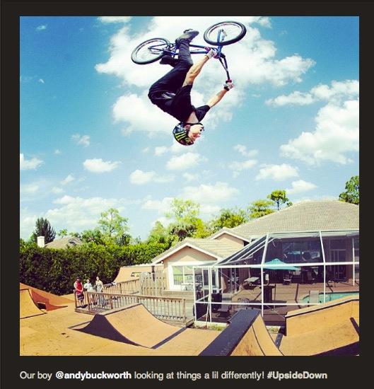Wednesday Randagram Gallery - 9.12.2012