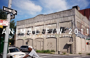 Animal 2011 Fall/Winter Lookbook