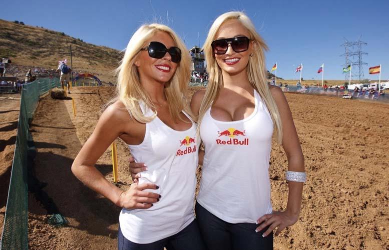 Red Bull Girls Gallery - Part 2