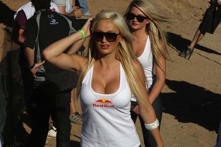 Red Bull Girls Gallery - Part 2