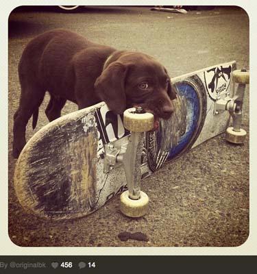 Wednesday RandaGram Gallery - 10.10.12