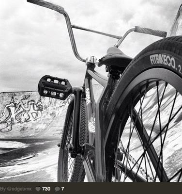 Friday Randagram Gallery - October 26, 2012