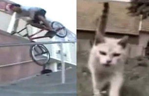 Hump Day Mash UP: BMX Cats