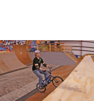 Dan Sieg, 180 double whip to fakie