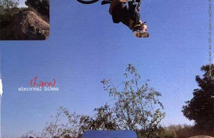 Wildman 1987-2007